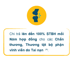 Bảo hiểm Bổ sung – Bảo hiểm Tai nạn Sống An