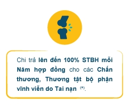 Bảo hiểm Bổ sung – Bảo hiểm Tai nạn Sống An