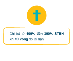 Bảo hiểm Bổ sung – Bảo hiểm Tai nạn Sống An